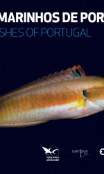 Capa_Peixes_Marinhos_de_Portugal